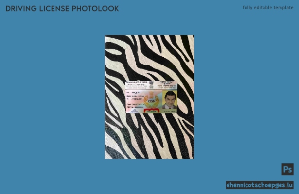 Vorschau der Fotoansicht der indischen CISF DL-Lizenz